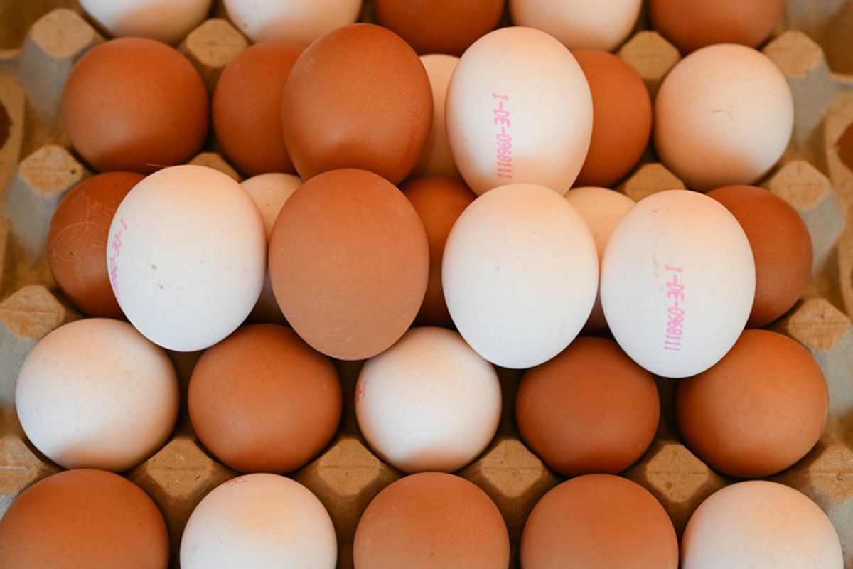 禽流感疫情推动日本蛋价创新高