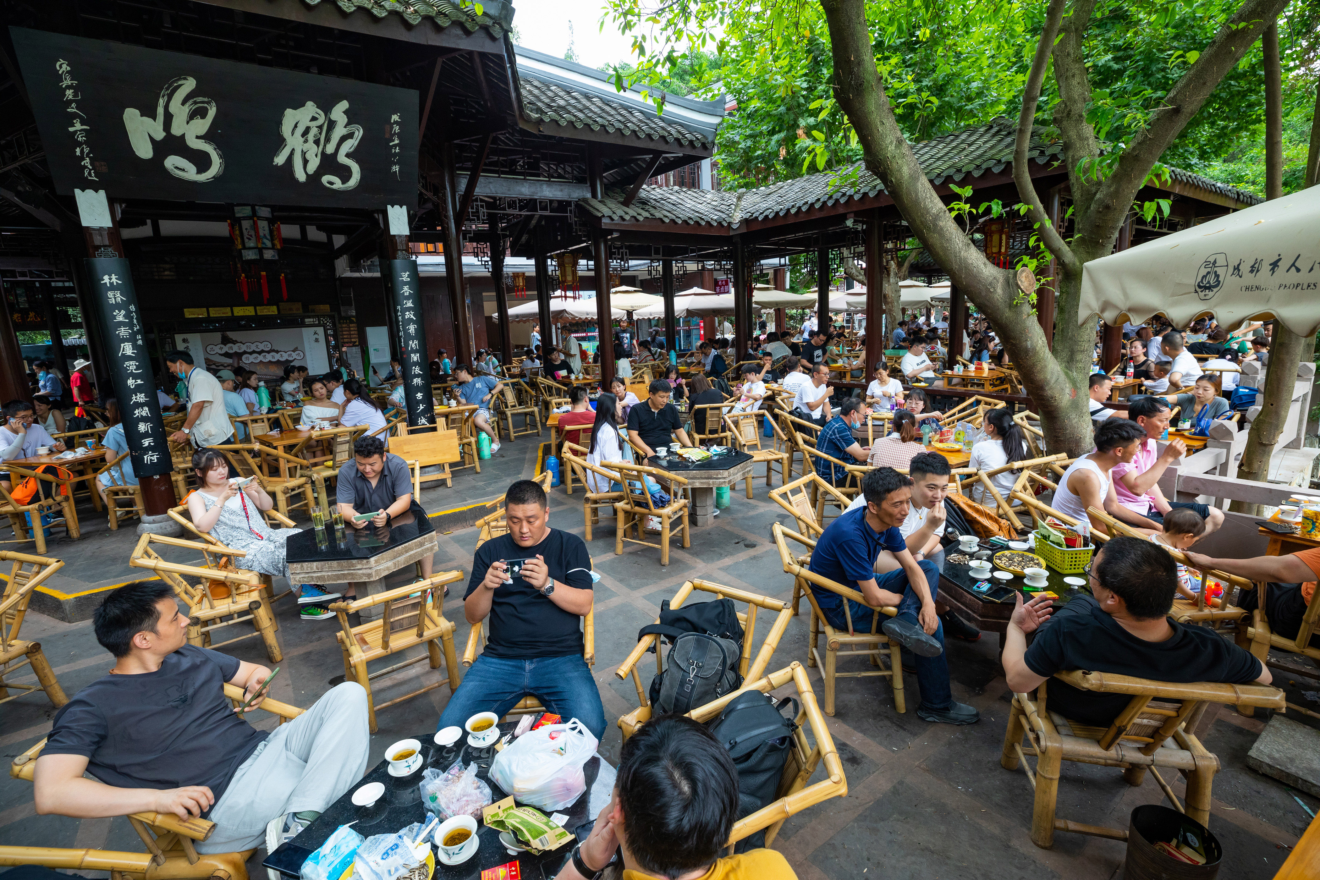 微信图片_2026-06-09_173403_065